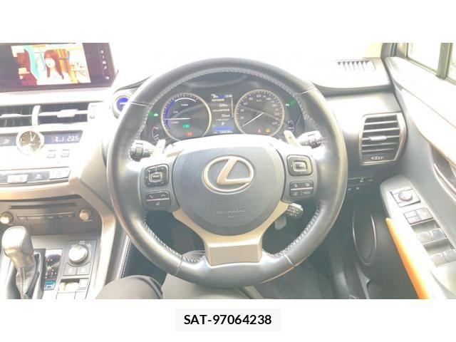 Lexus NX 2017-11 8829988-13