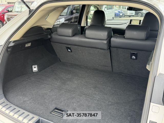 Lexus NX 2017-01 8829980-27