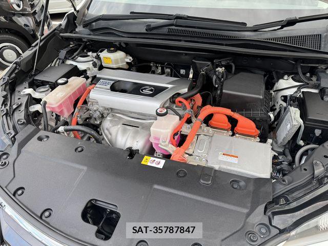 Lexus NX 2017-01 8829980-28