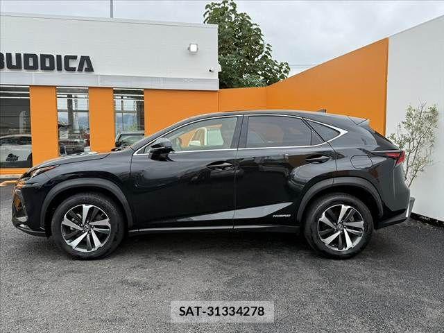 Lexus NX 2017-12 8849591-10