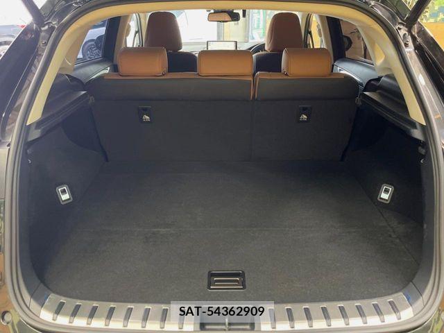 Lexus NX 2018-05 8849592-9