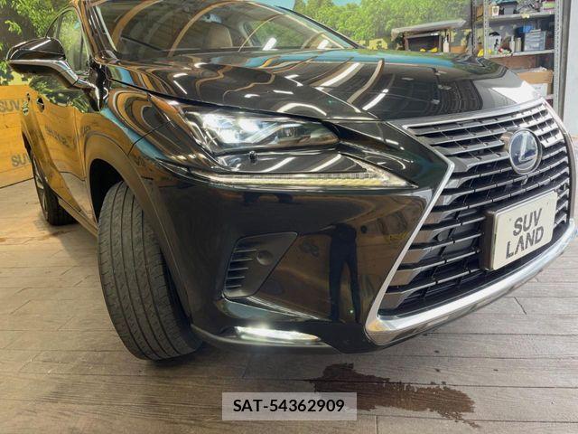 Lexus NX 2018-05 8849592-11