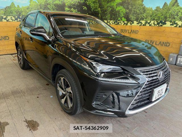 Lexus NX 2018-05 8849592-15