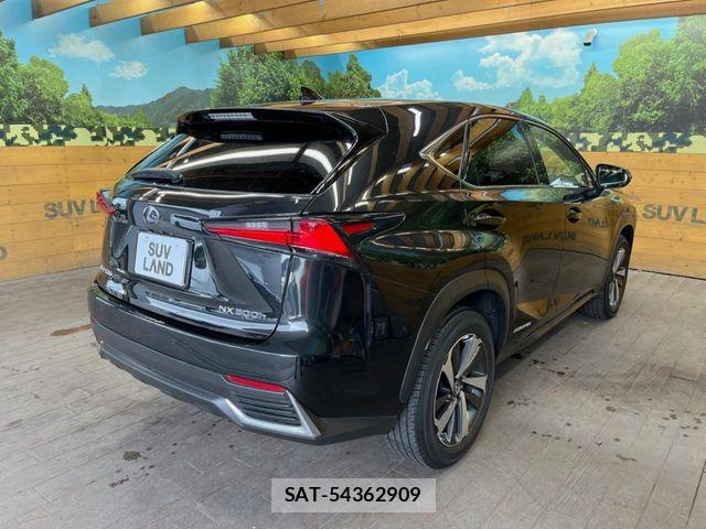Lexus NX 2018-05 8849592-16