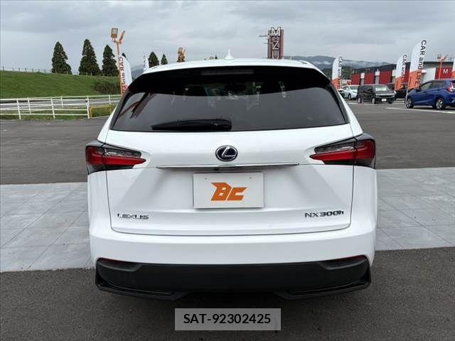 Lexus NX 2017-05 8849590-13