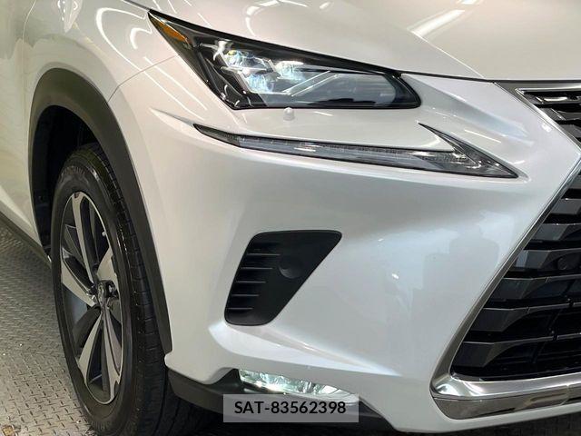 Lexus NX 2019-12 8849587-11