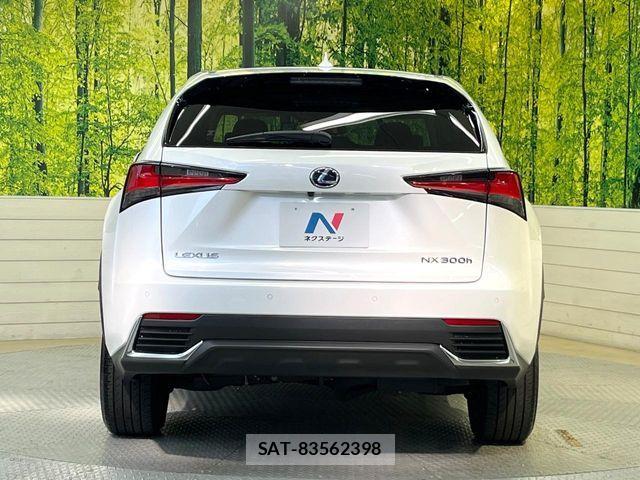 Lexus NX 2019-12 8849587-16