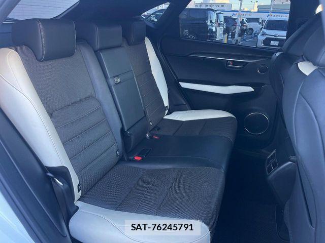 Lexus NX 2019-02 1246447-10