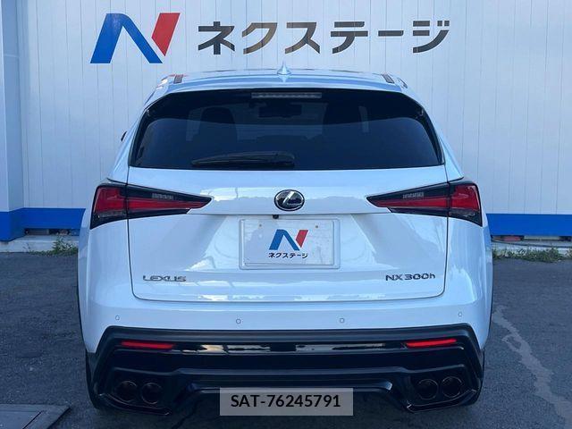 Lexus NX 2019-02 1246447-16