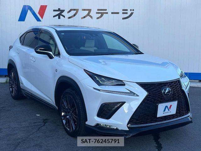 Lexus NX 2019-02 1246447-17