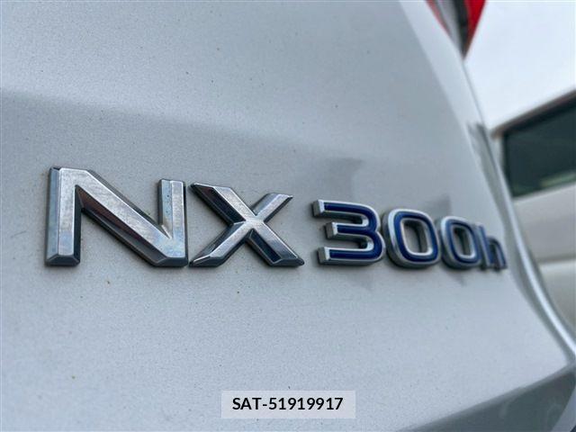 Lexus NX 2014-07 1306186-14