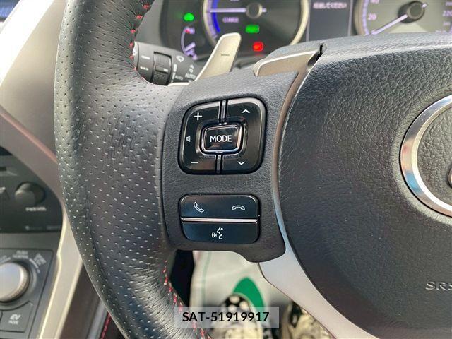 Lexus NX 2014-07 1306186-23