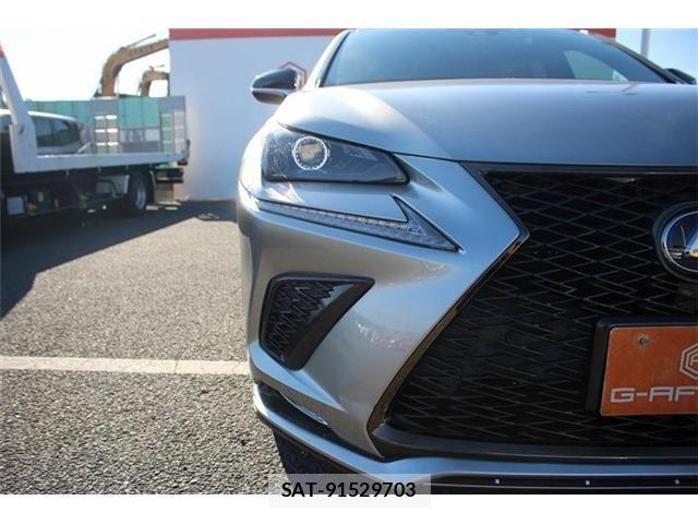 Lexus NX 2020-11 3066421-15