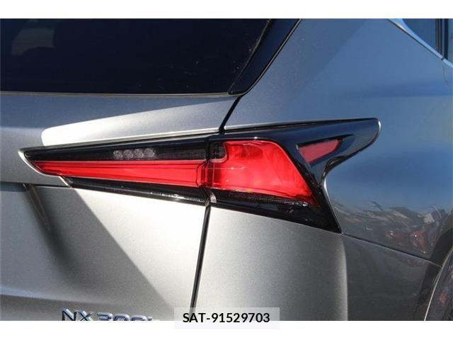 Lexus NX 2020-11 3066421-22