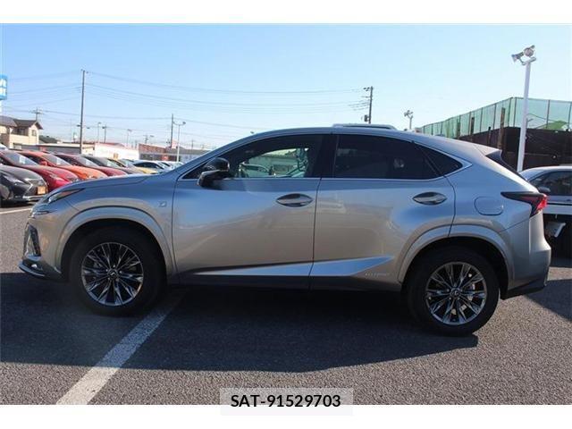 Lexus NX 2020-11 3066421-4