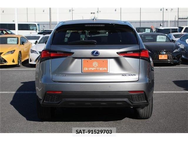 Lexus NX 2020-11 3066421-6
