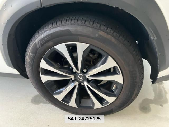 Lexus NX 2019-09 4176067-9