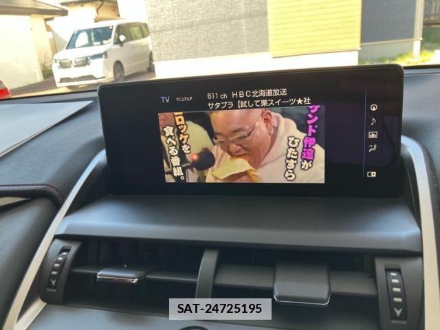 Lexus NX 2019-09 4176067-26