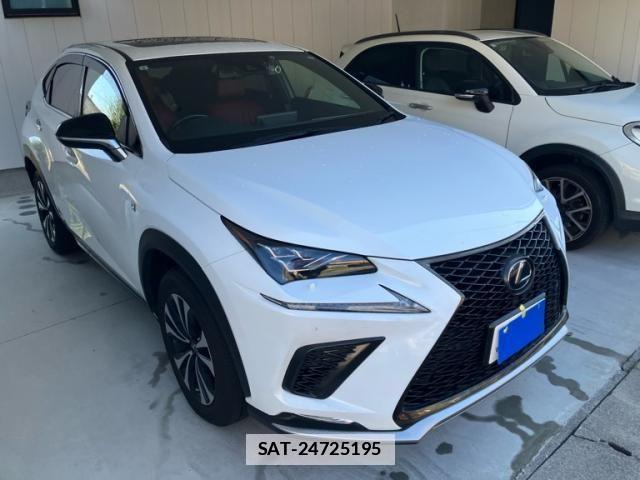 Lexus NX 2019-09 4176067-2