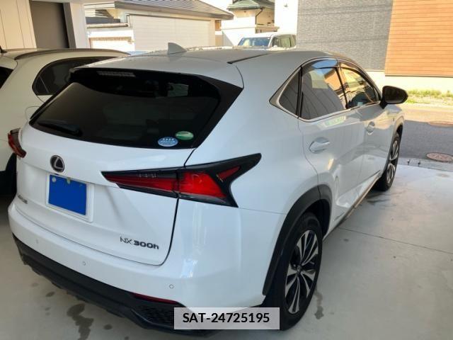 Lexus NX 2019-09 4176067-4