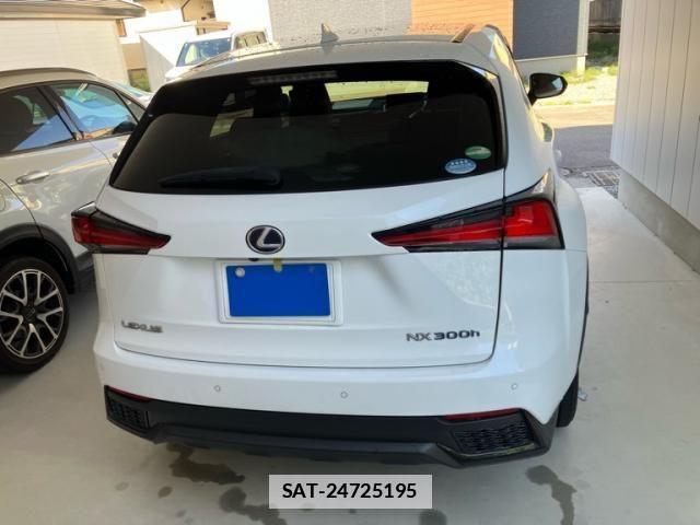 Lexus NX 2019-09 4176067-5