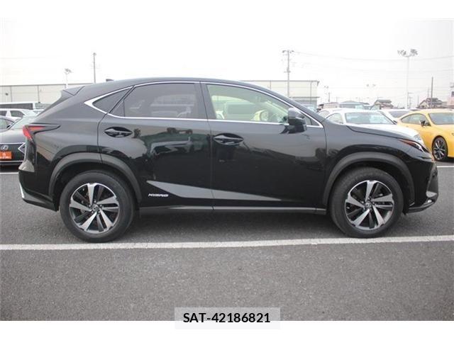 Lexus NX 2018-01 4964713-10