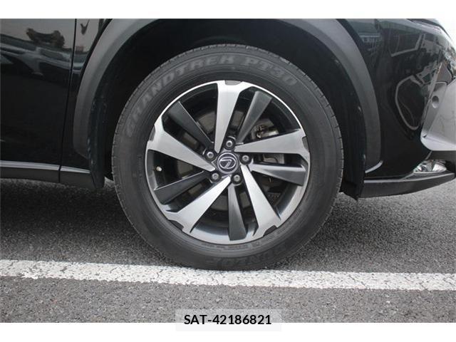Lexus NX 2018-01 4964713-11