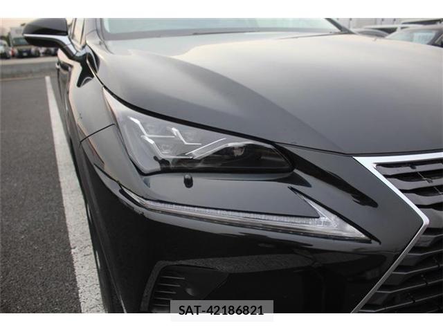 Lexus NX 2018-01 4964713-12