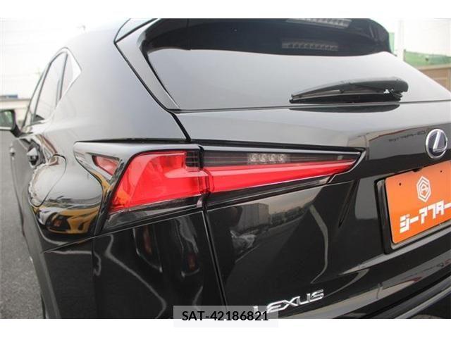 Lexus NX 2018-01 4964713-16
