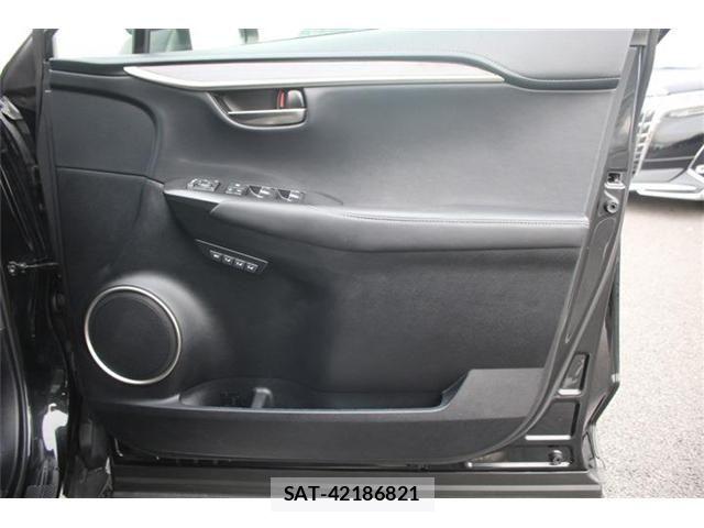 Lexus NX 2018-01 4964713-18