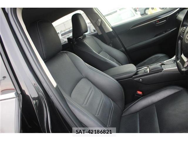 Lexus NX 2018-01 4964713-19