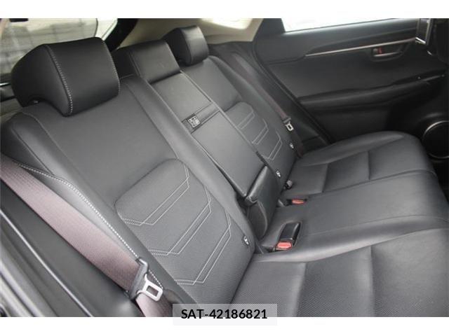 Lexus NX 2018-01 4964713-20