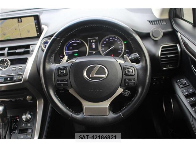 Lexus NX 2018-01 4964713-22