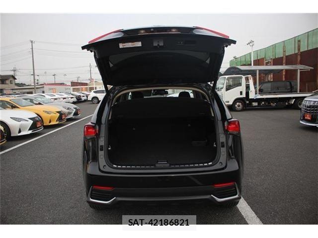 Lexus NX 2018-01 4964713-28