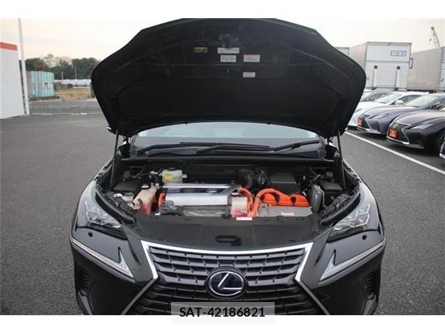 Lexus NX 2018-01 4964713-29