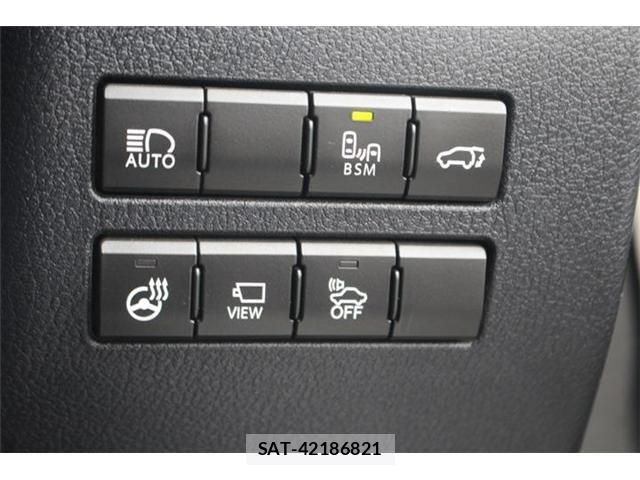 Lexus NX 2018-01 4964713-5