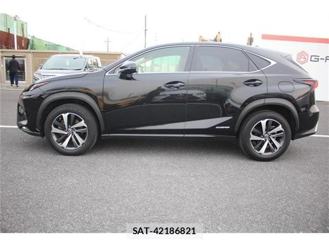 Lexus NX 2018-01 4964713-8