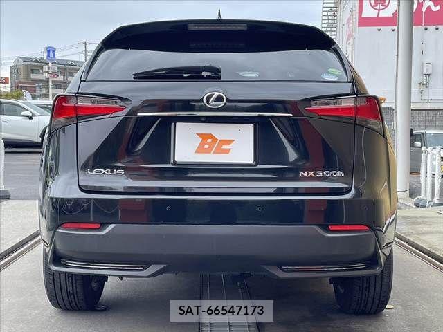 Lexus NX 2014-09 6011758-13