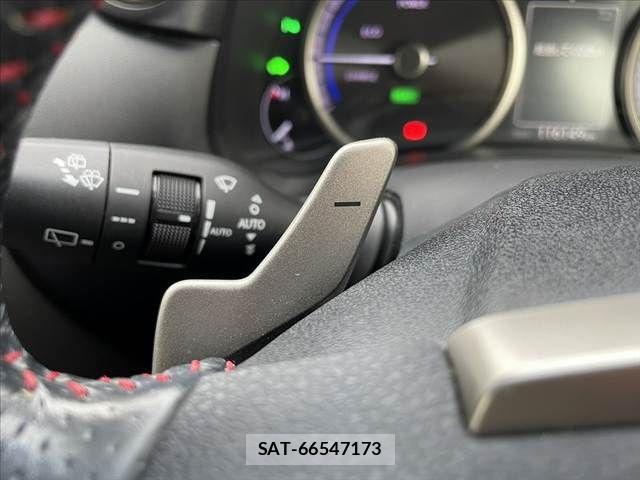 Lexus NX 2014-09 6011758-29