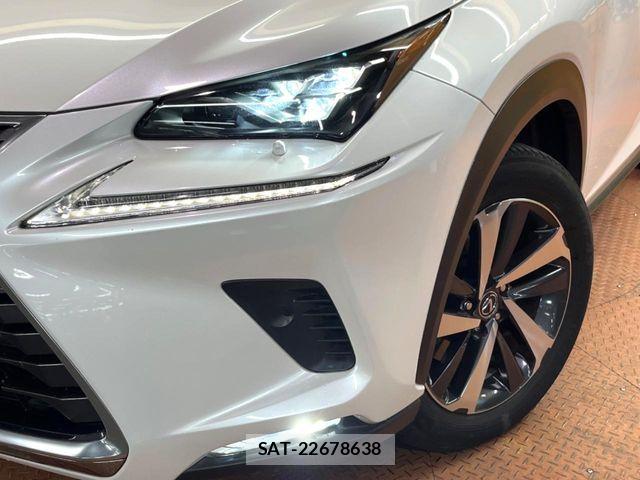 Lexus NX 2018-06 6305001-12