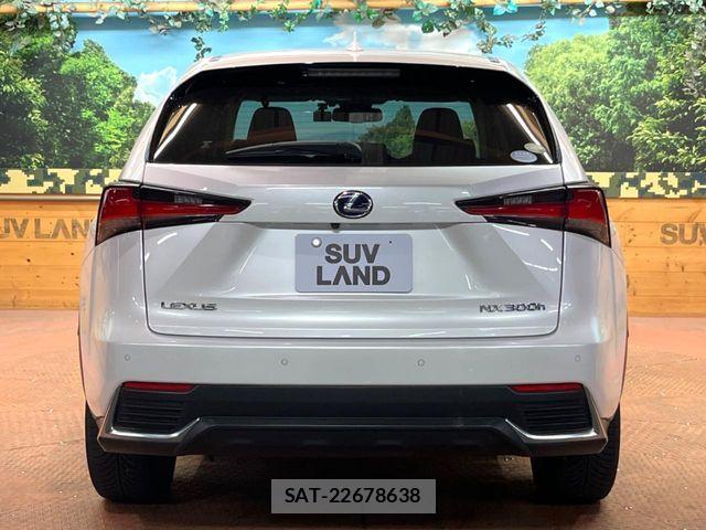 Lexus NX 2018-06 6305001-15
