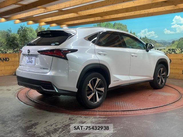 Lexus NX 2018-09 6612903-16