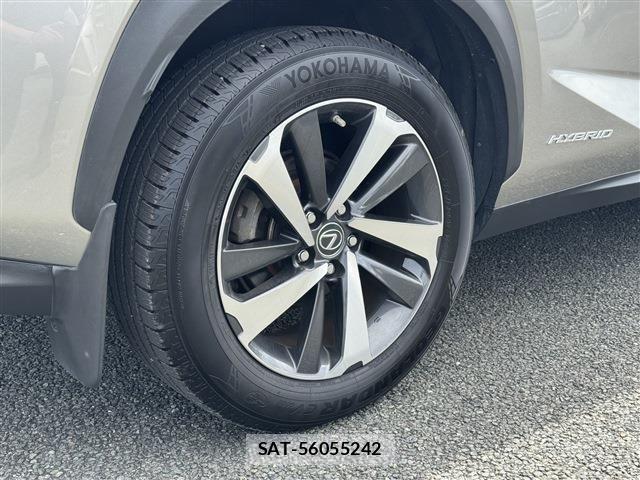 Lexus NX 2018-03 6716537-10
