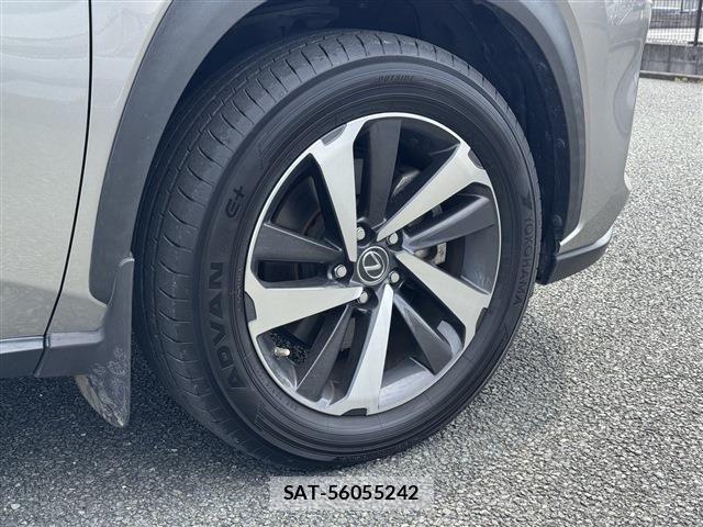 Lexus NX 2018-03 6716537-11