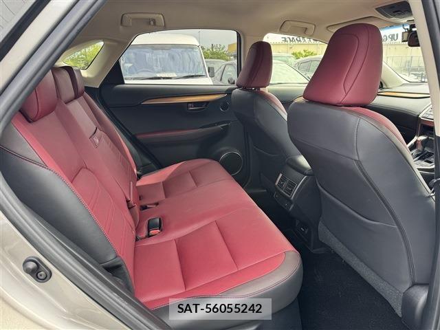 Lexus NX 2018-03 6716537-14
