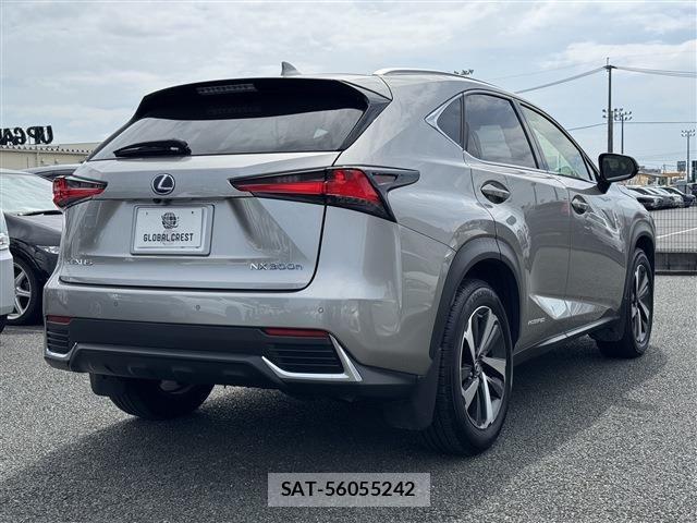 Lexus NX 2018-03 6716537-2