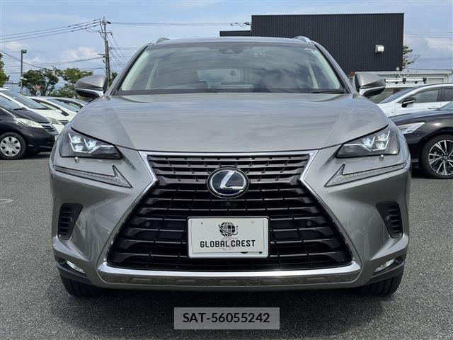 Lexus NX 2018-03 6716537-3