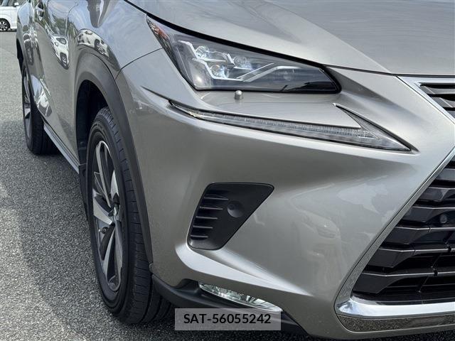 Lexus NX 2018-03 6716537-5
