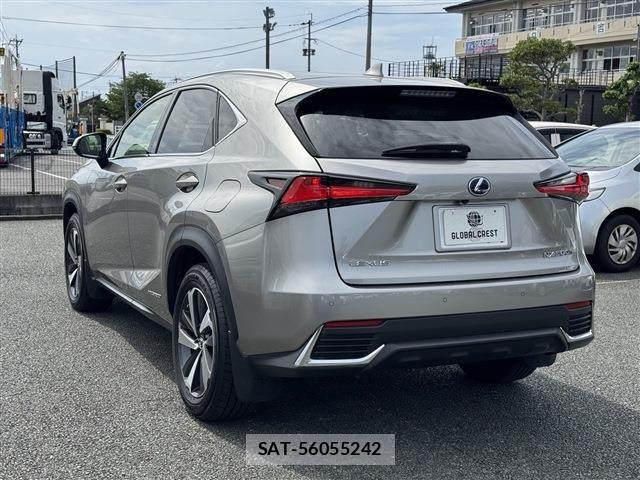 Lexus NX 2018-03 6716537-7