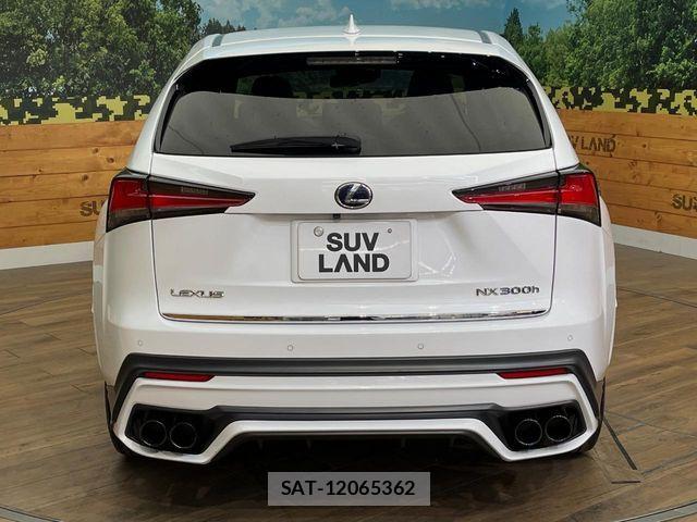 Lexus NX 2017-12 6752254-15